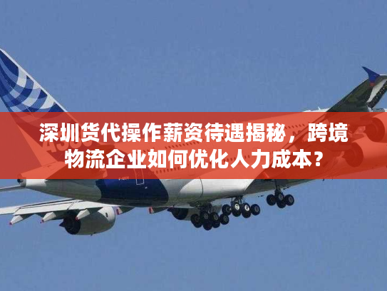 深圳货代操作薪资待遇揭秘,跨境物流企业如何优化人力成本? 深圳货代操作薪资待遇揭秘,跨境物流企业如何优化人力成本?