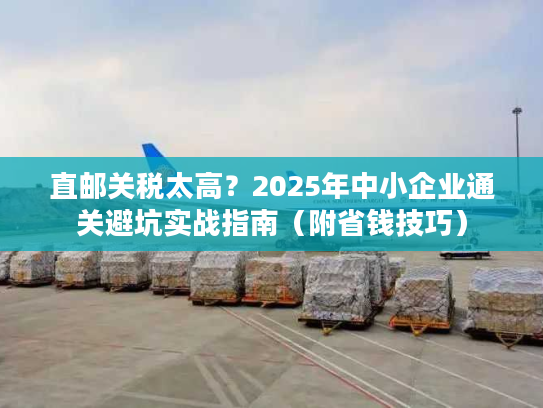直邮关税太高？2025年中小企业通关避坑实战指南（附省钱技巧）