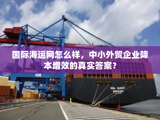 国际海运网怎么样，中小外贸企业降本增效的真实答案？