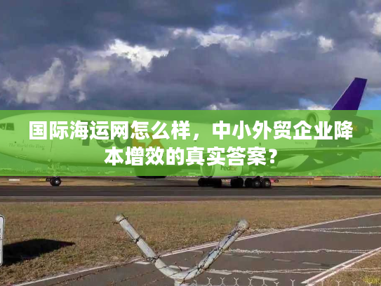 国际海运网怎么样，中小外贸企业降本增效的真实答案？