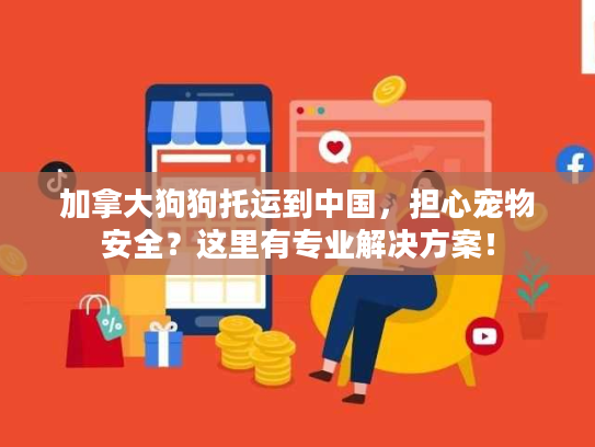 加拿大狗狗托运到中国，担心宠物安全？这里有专业解决方案！