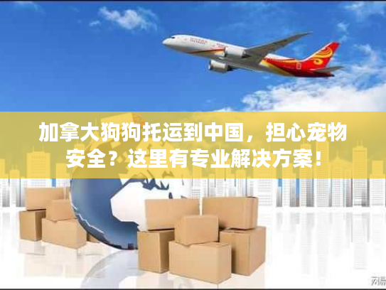 加拿大狗狗托运到中国，担心宠物安全？这里有专业解决方案！