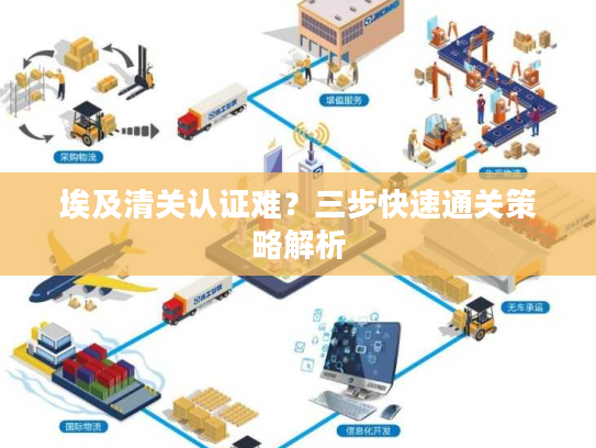 埃及清关认证难？三步快速通关策略解析