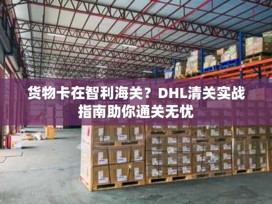 货物卡在智利海关？DHL清关实战指南助你通关无忧