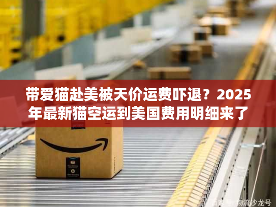 带爱猫赴美被天价运费吓退？2025年最新猫空运到美国费用明细来了