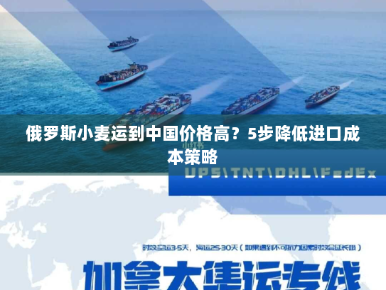 俄罗斯小麦运到中国价格高？5步降低进口成本策略