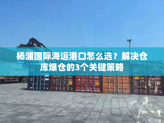 杨浦国际海运港口怎么选？解决仓库爆仓的3个关键策略