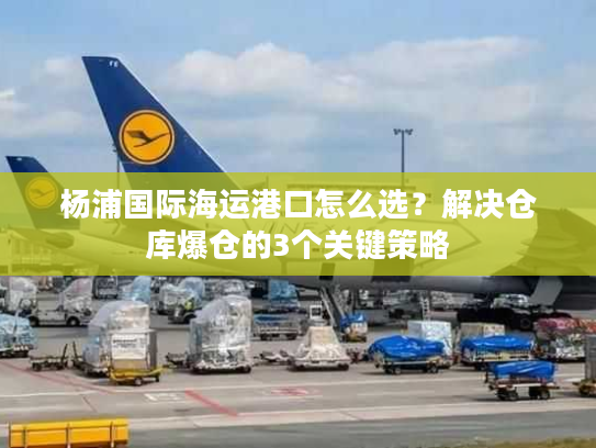 杨浦国际海运港口怎么选？解决仓库爆仓的3个关键策略