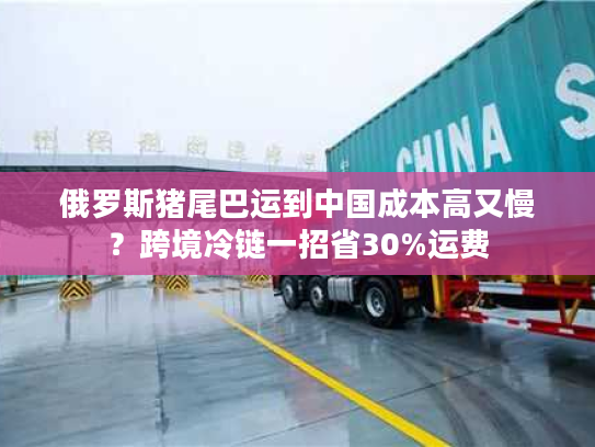 俄罗斯猪尾巴运到中国成本高又慢？跨境冷链一招省30%运费