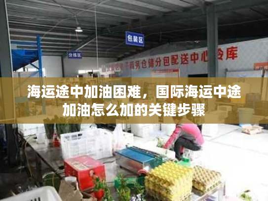 海运途中加油困难，国际海运中途加油怎么加的关键步骤