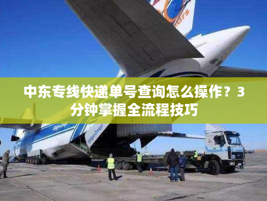 中东专线快递单号查询怎么操作？3分钟掌握全流程技巧