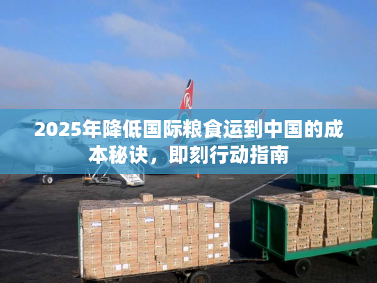 2025年降低国际粮食运到中国的成本秘诀，即刻行动指南