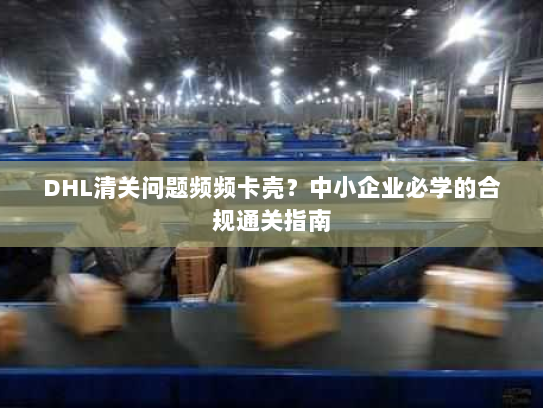 DHL清关问题频频卡壳？中小企业必学的合规通关指南