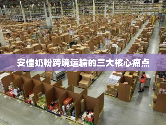 安佳奶粉跨境运输的三大核心痛点