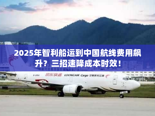 2025年智利船运到中国航线费用飙升?三招速降成本时效! 2025年智利船运到中国航线费用飙升?三招速降成本时效!