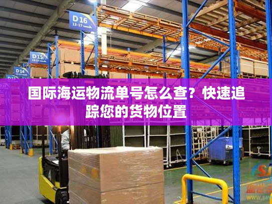 国际海运物流单号怎么查？快速追踪您的货物位置