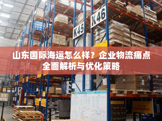 山东国际海运怎么样？企业物流痛点全面解析与优化策略