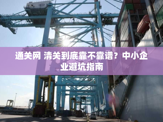 通关网 清关到底靠不靠谱？中小企业避坑指南