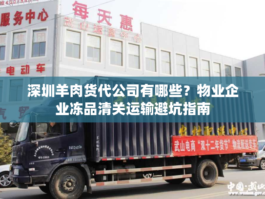 深圳羊肉货代公司有哪些？物业企业冻品清关运输避坑指南