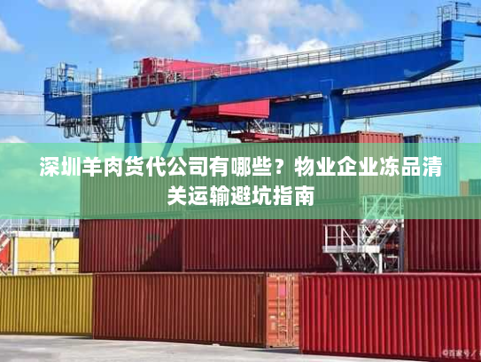 深圳羊肉货代公司有哪些？物业企业冻品清关运输避坑指南