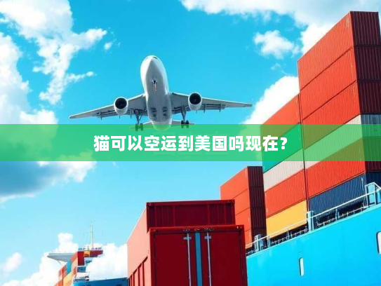 猫可以空运到美国吗现在？