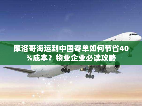摩洛哥海运到中国零单如何节省40%成本？物业企业必读攻略