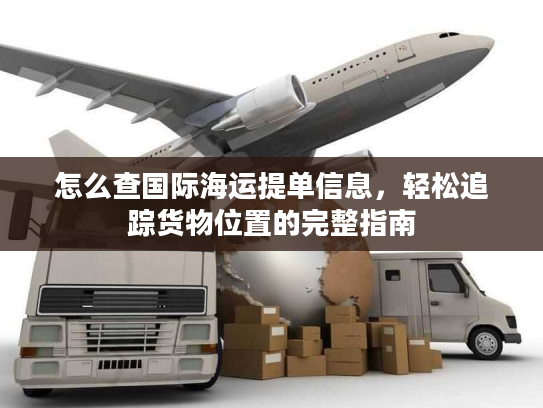 怎么查国际海运提单信息，轻松追踪货物位置的完整指南