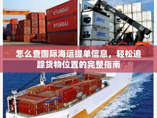 怎么查国际海运提单信息，轻松追踪货物位置的完整指南