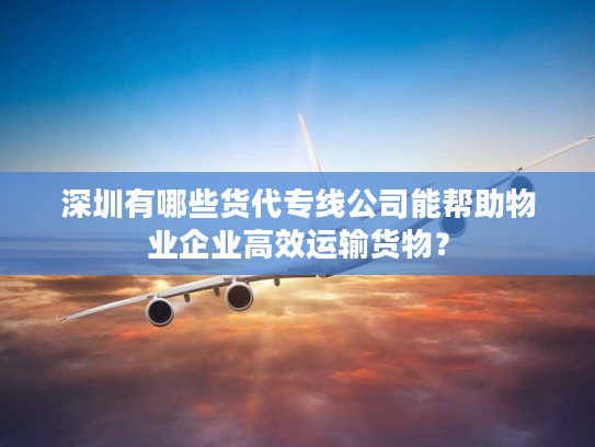 深圳有哪些货代专线公司能帮助物业企业高效运输货物？