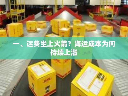 一、运费坐上火箭?海运成本为何持续上涨 一、运费坐上火箭?海运成本为何持续上涨