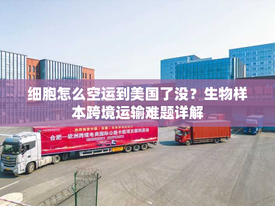 细胞怎么空运到美国了没？生物样本跨境运输难题详解