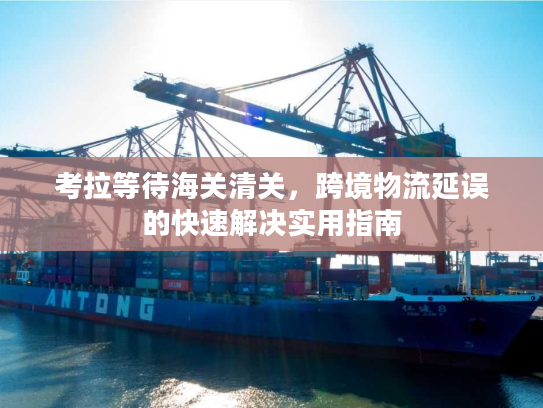 考拉等待海关清关，跨境物流延误的快速解决实用指南