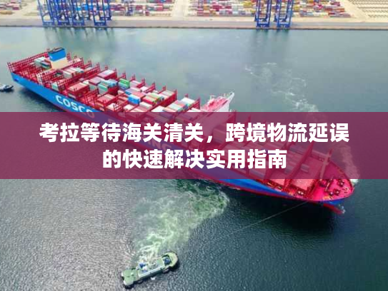 考拉等待海关清关，跨境物流延误的快速解决实用指南
