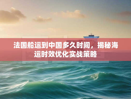 法国船运到中国多久时间,揭秘海运时效优化实战策略 法国船运到中国多久时间,揭秘海运时效优化实战策略