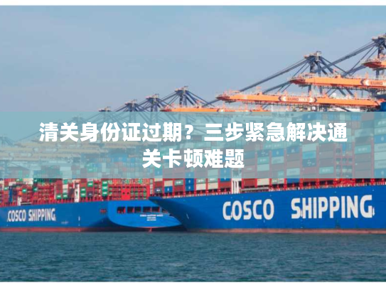 清关身份证过期？三步紧急解决通关卡顿难题