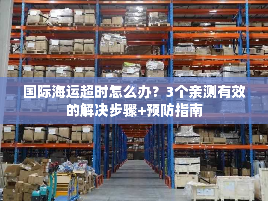国际海运超时怎么办？3个亲测有效的解决步骤+预防指南