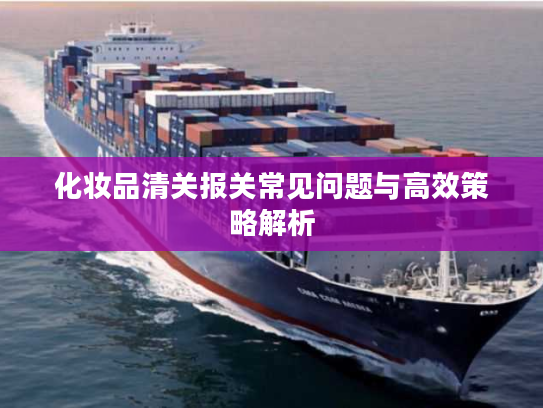化妆品清关报关常见问题与高效策略解析