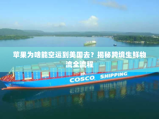 苹果为啥能空运到美国去?揭秘跨境生鲜物流全流程 苹果为啥能空运到美国去?揭秘跨境生鲜物流全流程