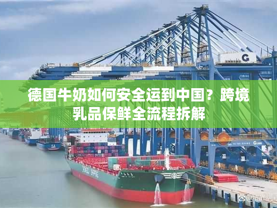 德国牛奶如何安全运到中国？跨境乳品保鲜全流程拆解