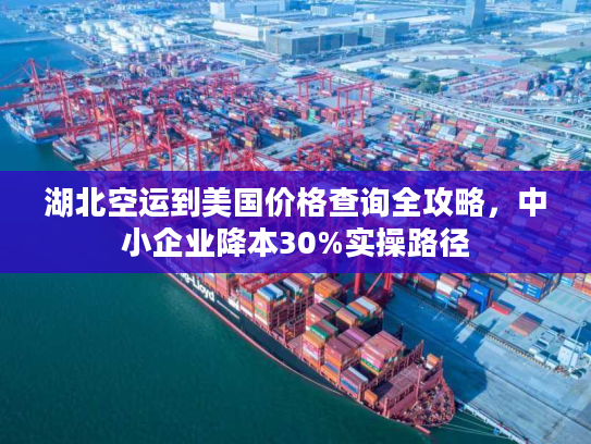 湖北空运到美国价格查询全攻略，中小企业降本30%实操路径
