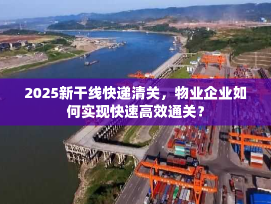 2025新干线快递清关，物业企业如何实现快速高效通关？