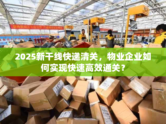 2025新干线快递清关，物业企业如何实现快速高效通关？
