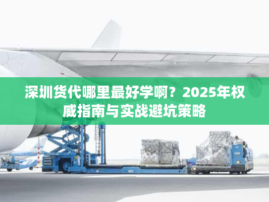深圳货代哪里最好学啊？2025年权威指南与实战避坑策略
