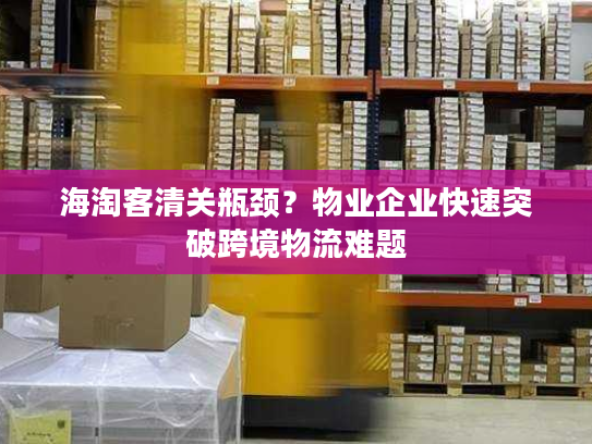 海淘客清关瓶颈？物业企业快速突破跨境物流难题