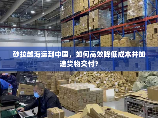 砂拉越海运到中国，如何高效降低成本并加速货物交付？