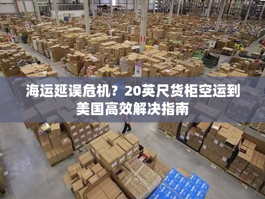 海运延误危机？20英尺货柜空运到美国高效解决指南