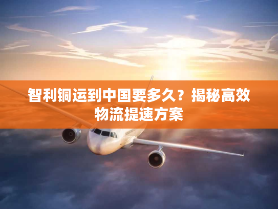 智利铜运到中国要多久？揭秘高效物流提速方案