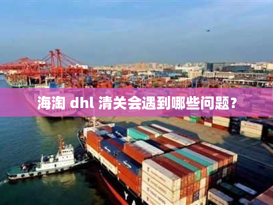 海淘 dhl 清关会遇到哪些问题? 海淘 dhl 清关会遇到哪些问题?