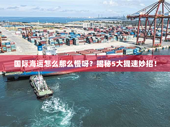 国际海运怎么那么慢呀？揭秘5大提速妙招！