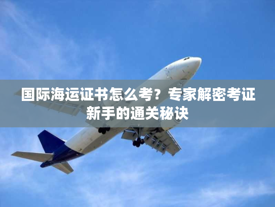 国际海运证书怎么考？专家解密考证新手的通关秘诀